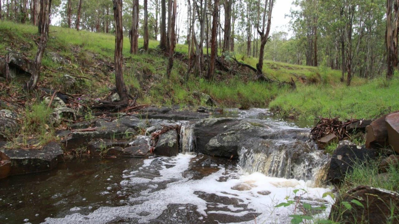 Dungog Common Recreation Reserve
