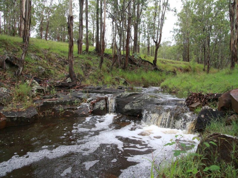 Dungog Common NSW Holidays & Things to Do, Attractions and Events