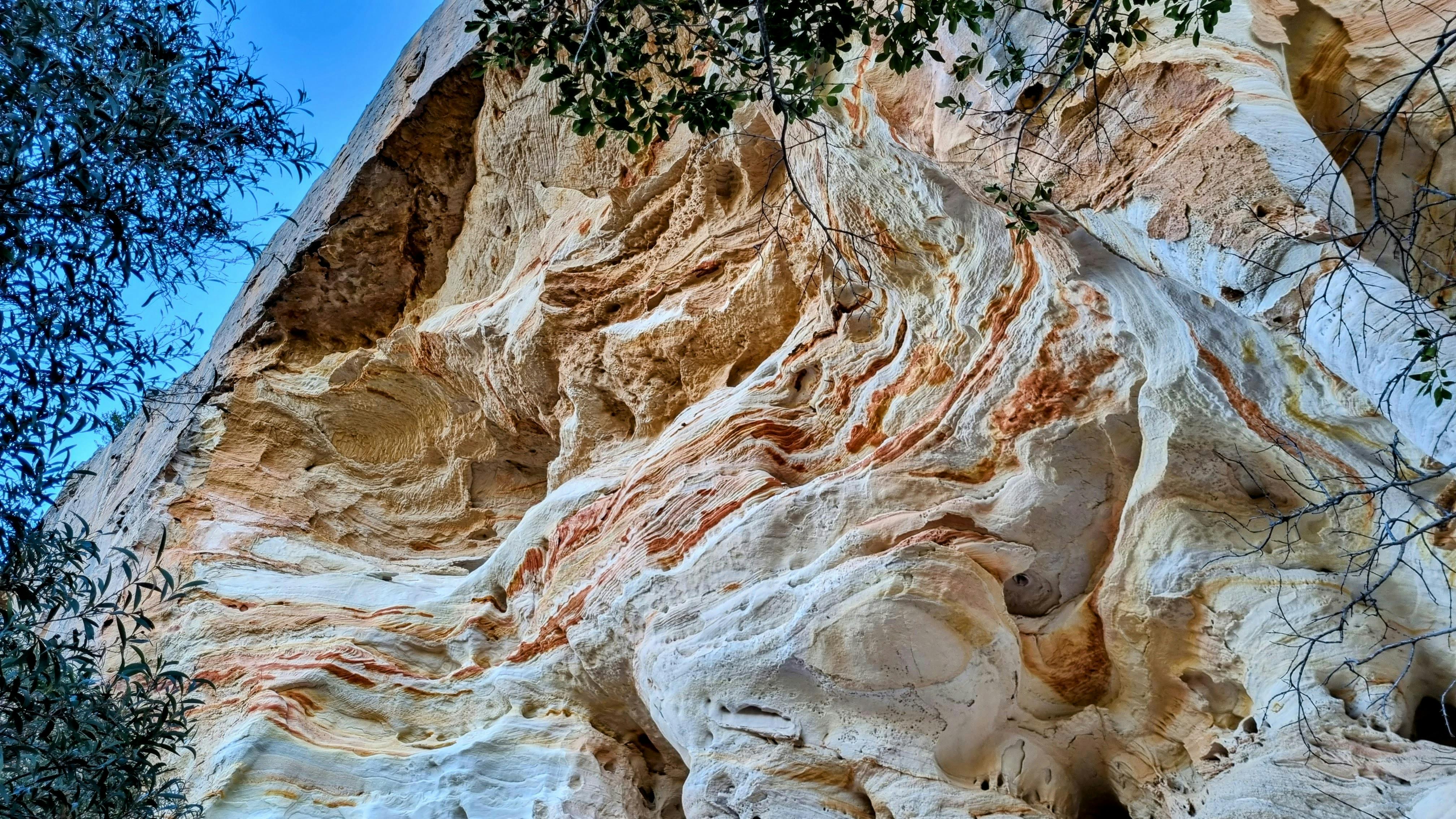 rocks
