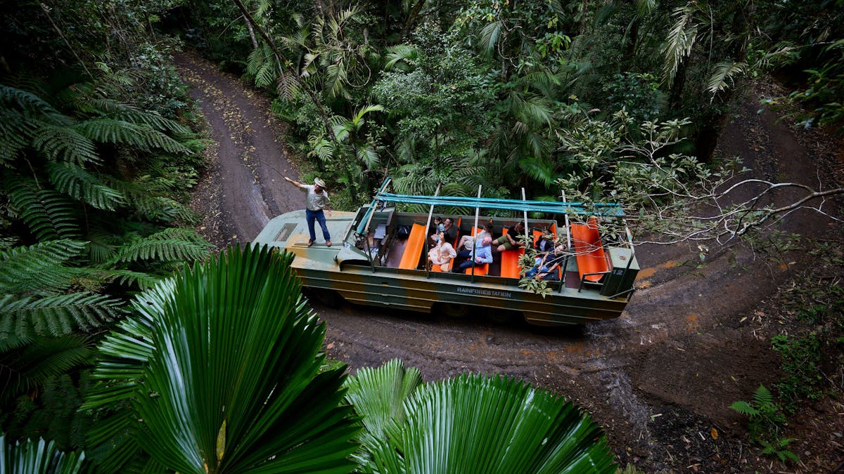 Aerial view of an Army Duck inside tropical rainforest, guide explaining the flora to passengers