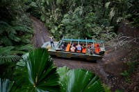 Aerial view of an Army Duck inside tropical rainforest, guide explaining the flora to passengers