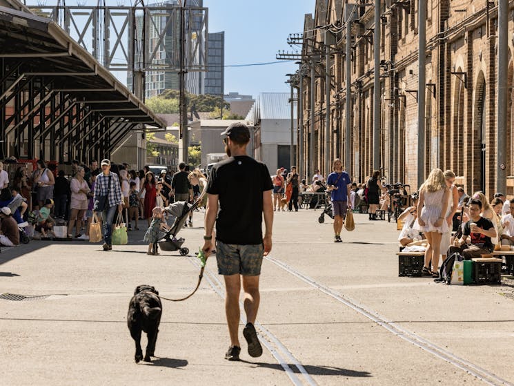 A man walks his dog on a leash past towards the Farmers Market