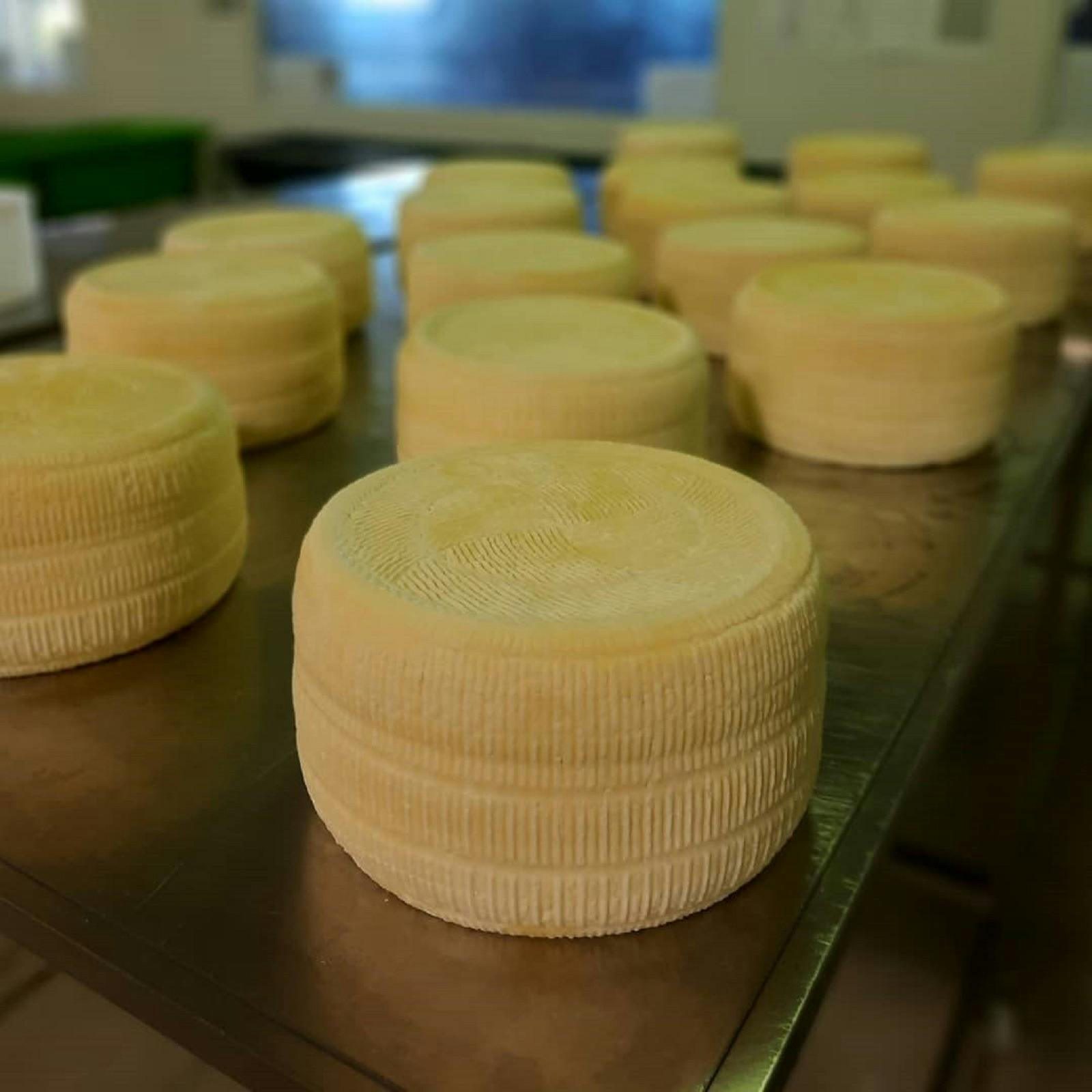 Harvey Cheese - Swan Valley