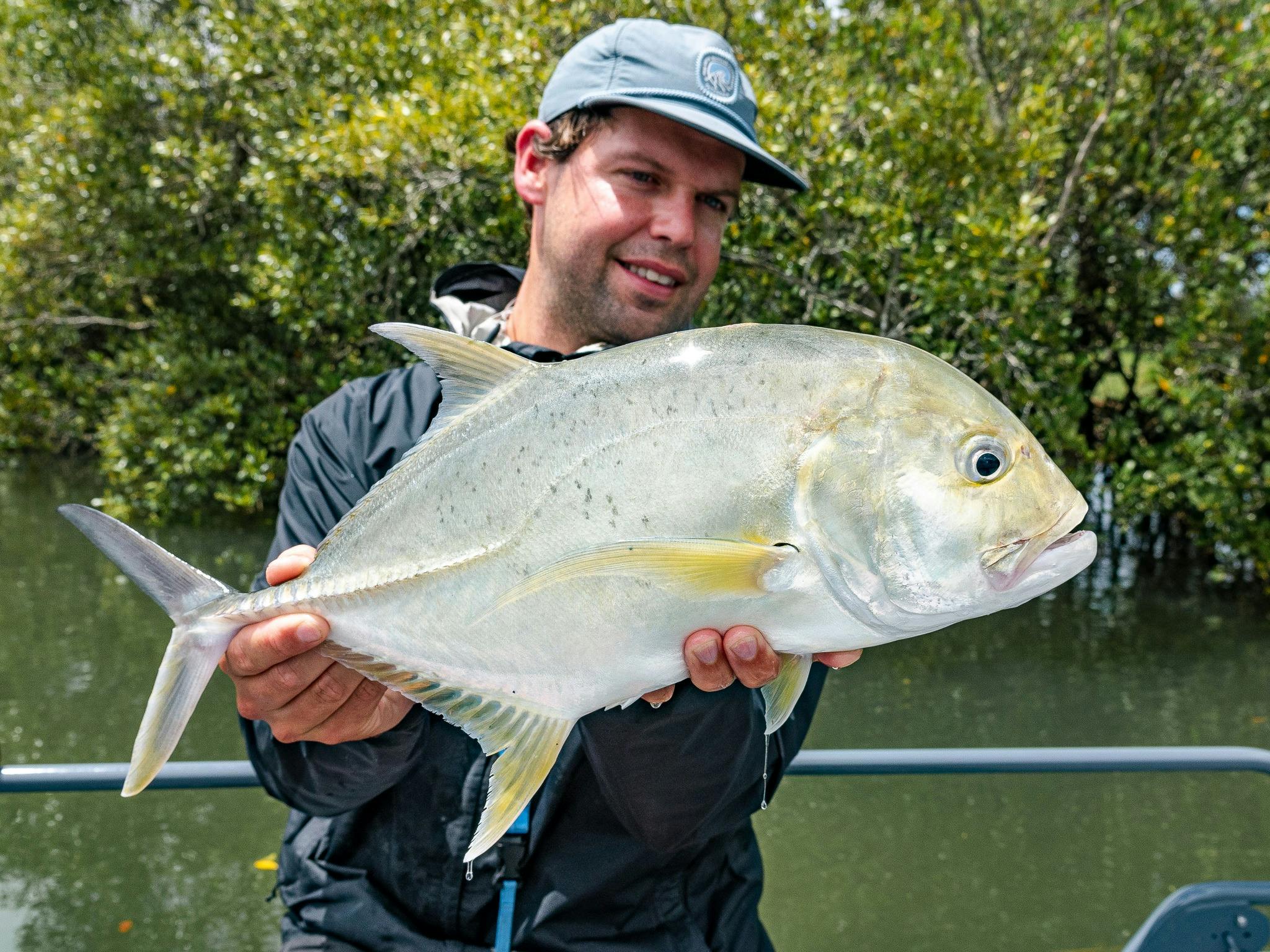 Hastings River giant trevally