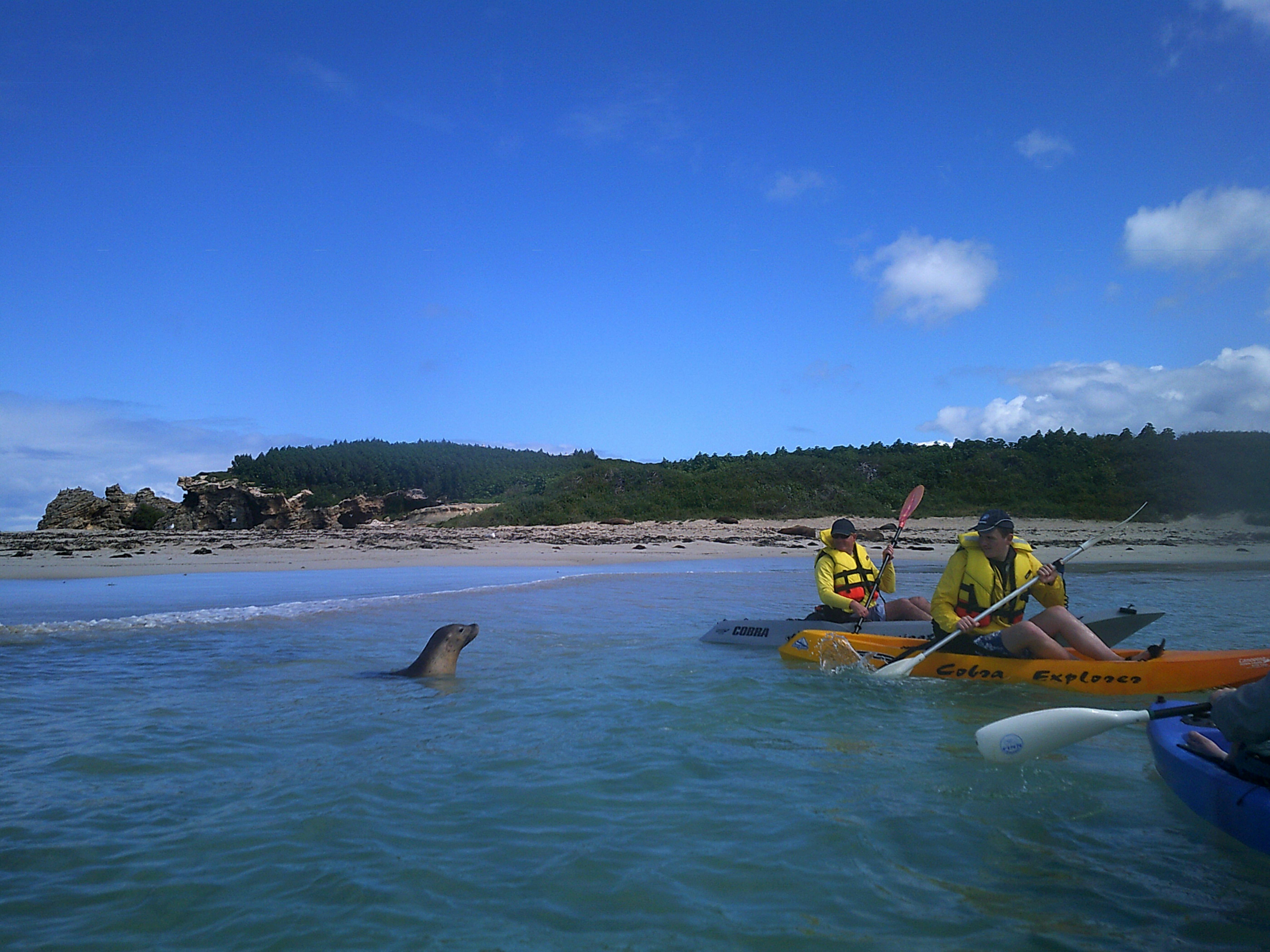 Rockingham Kayak Hire, Warnbro, Western Australia
