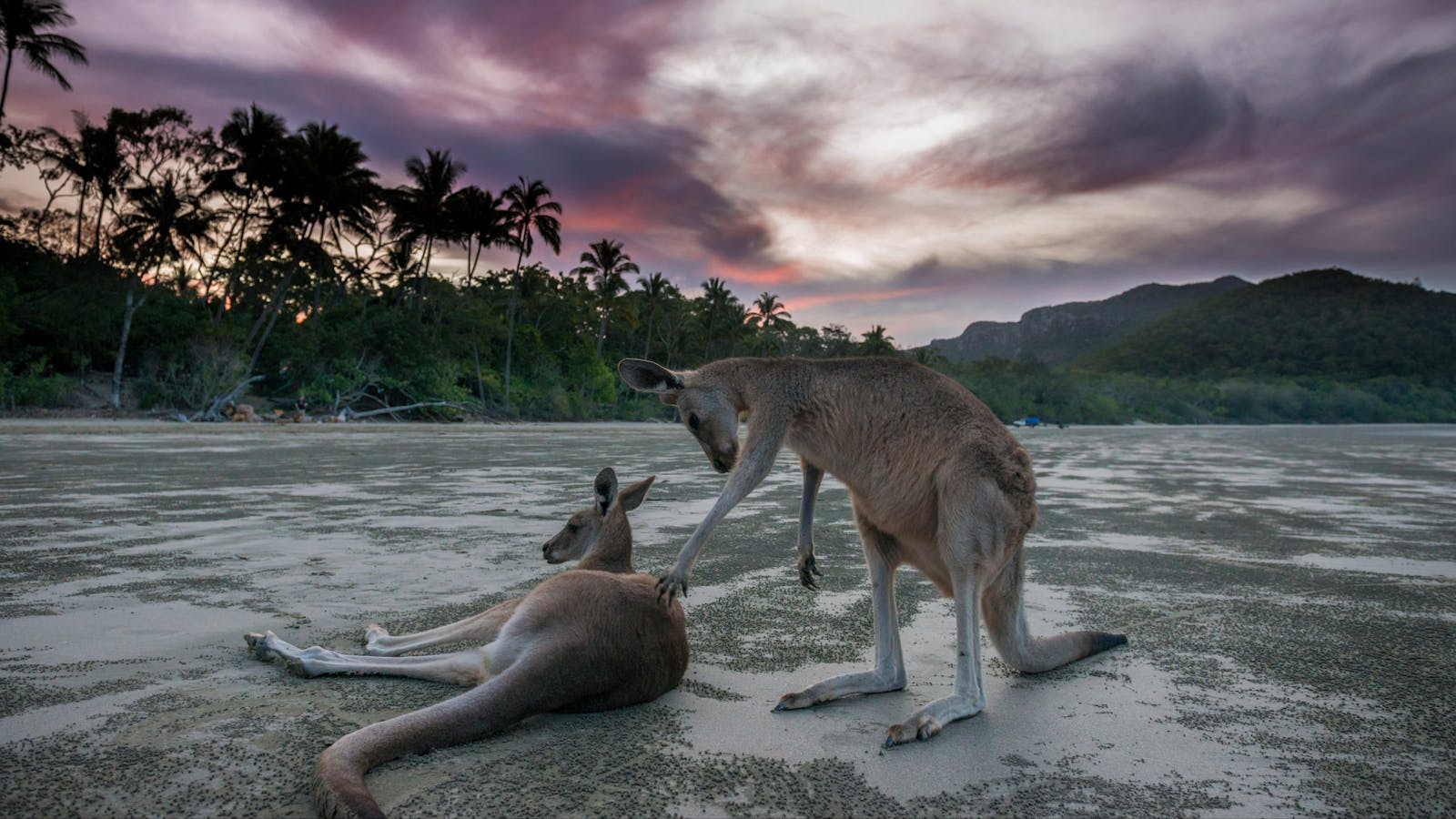 How to Holiday on The Hibiscus Coast with your Family