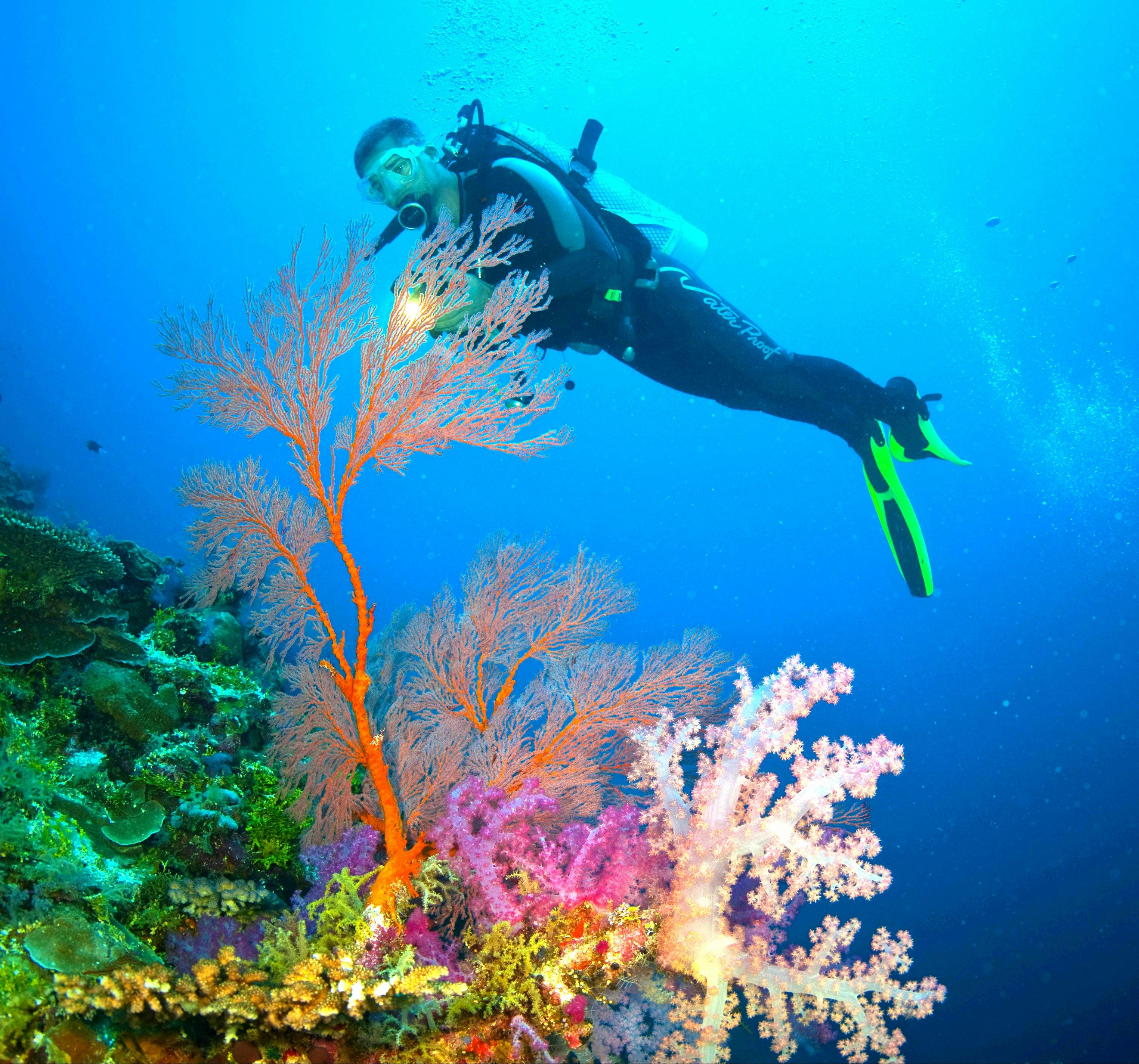 5 or 7 Night Rowley Shoals Underwater Adventure