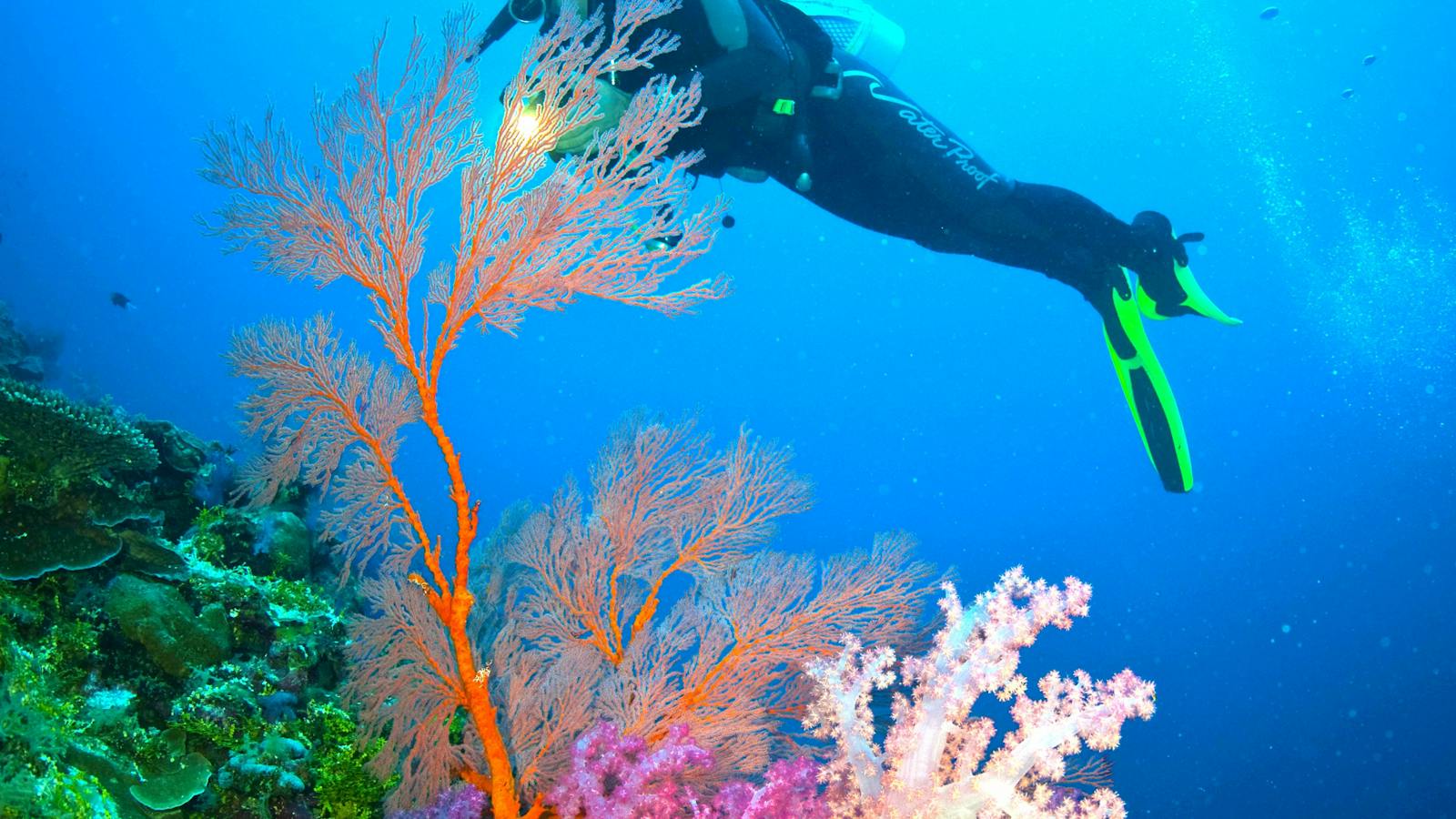 5 or 7 Night Rowley Shoals Underwater Adventure