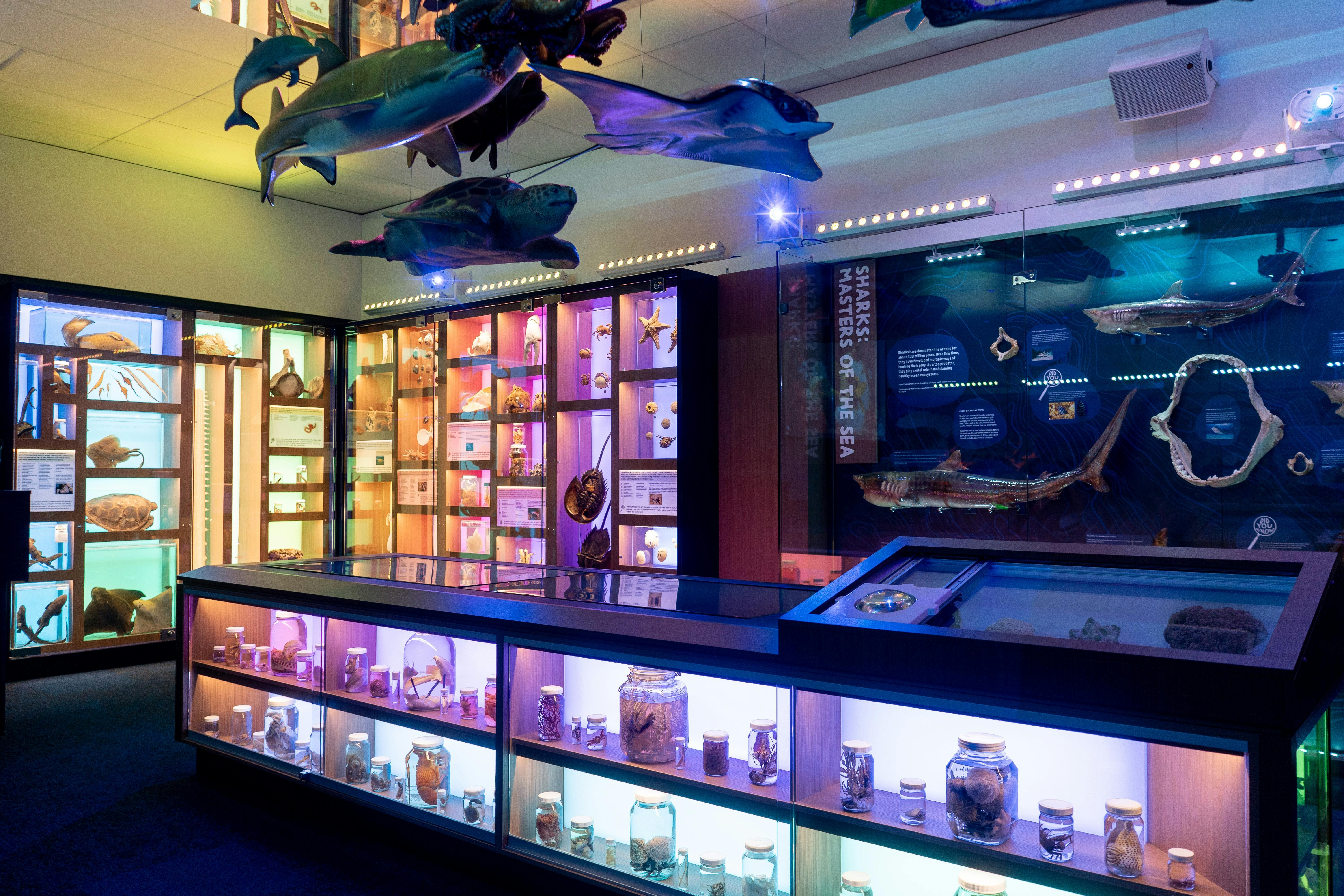 Marine Centre Hastings Point