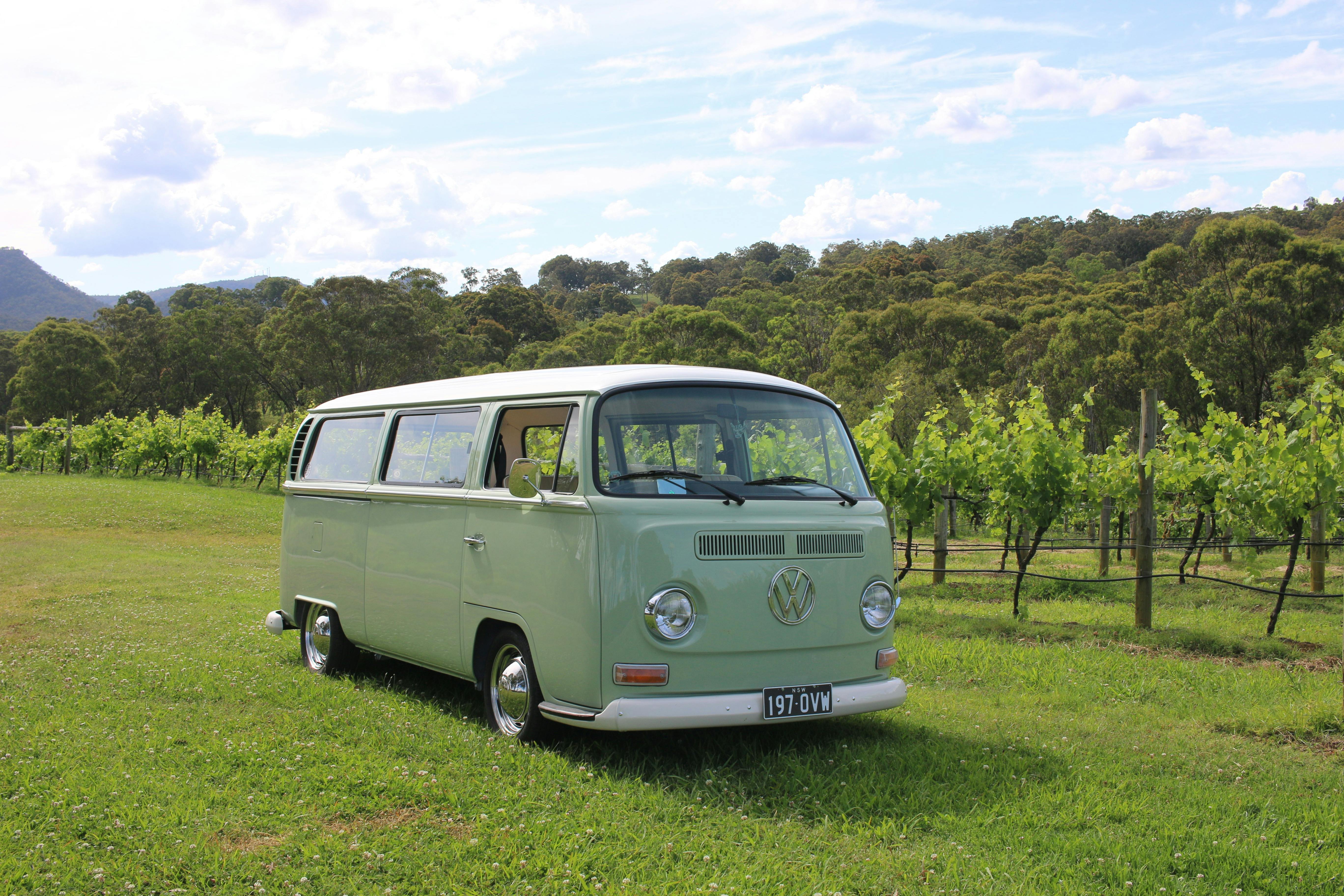 Twisted Vine Unique Tours - Classic 1970 VW Kombi Wine Tours