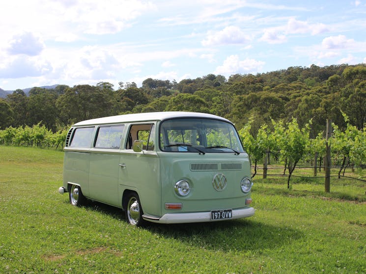 Twisted Vine Unique Tours - Classic 1970 VW Kombi Wine Tours