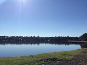 Foreshore at Iron Cove