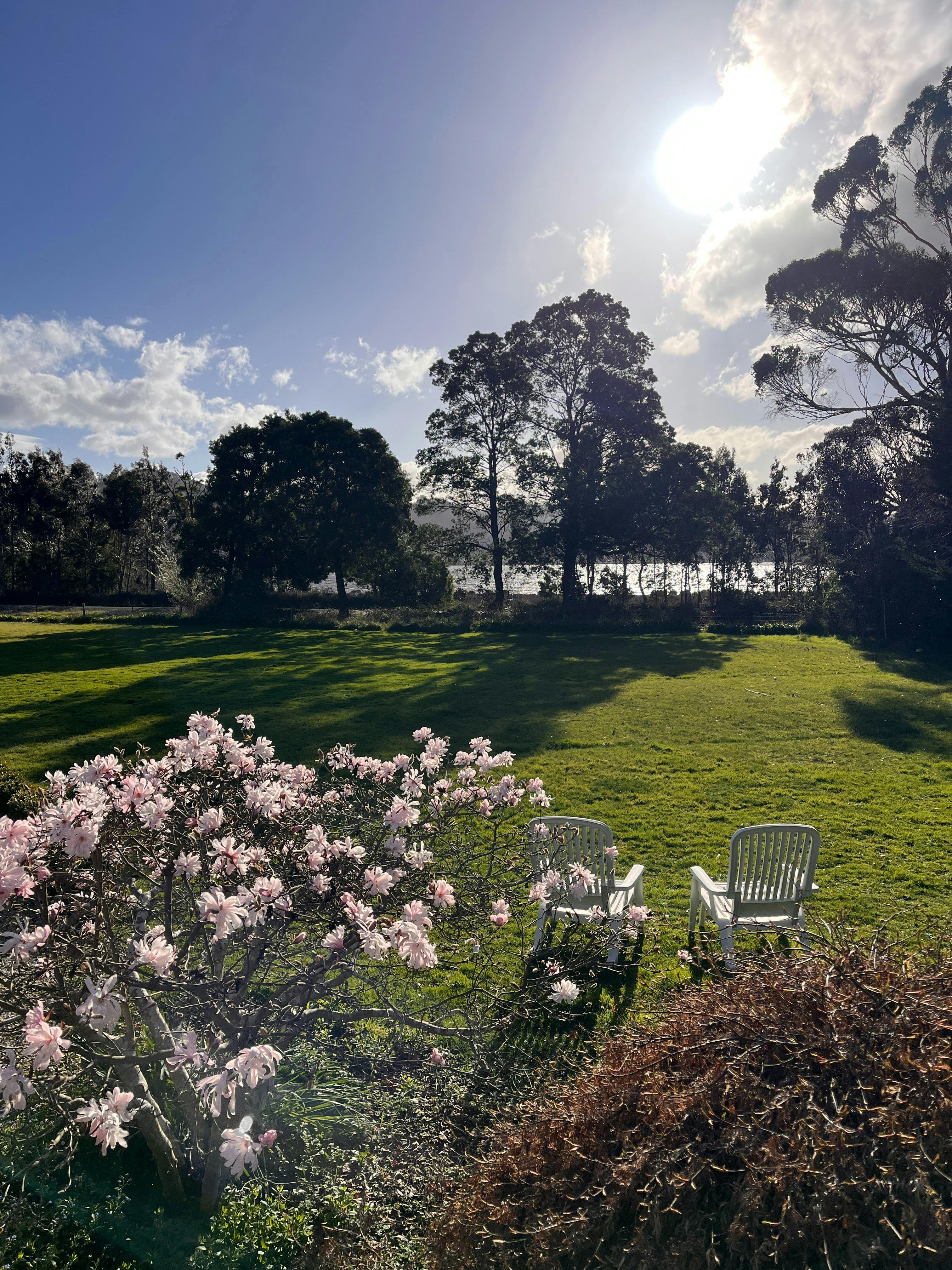 Relax in the established gardens at Green Gables and enjoy views across the lawn towards Port Cygnet