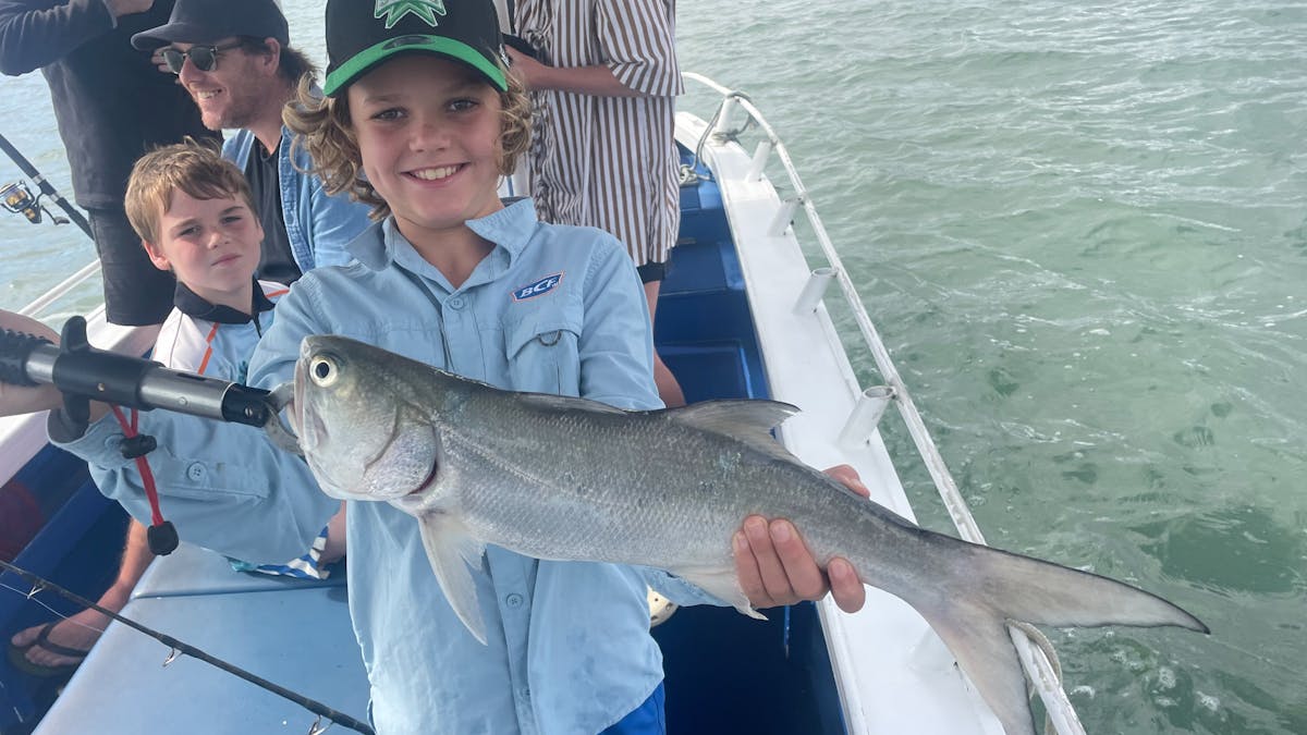 Blue Threadfin
