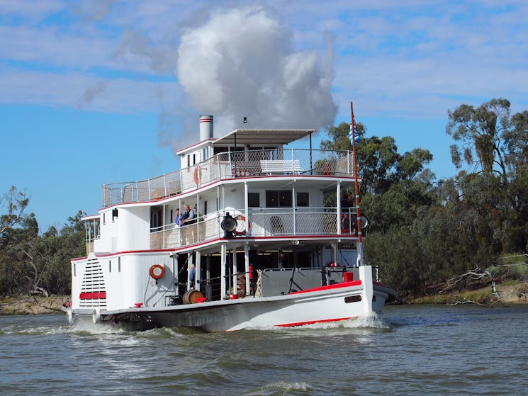 PS Ruby travelling along the river