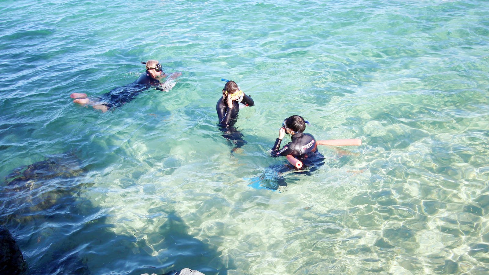 Snorkel Gold Coast