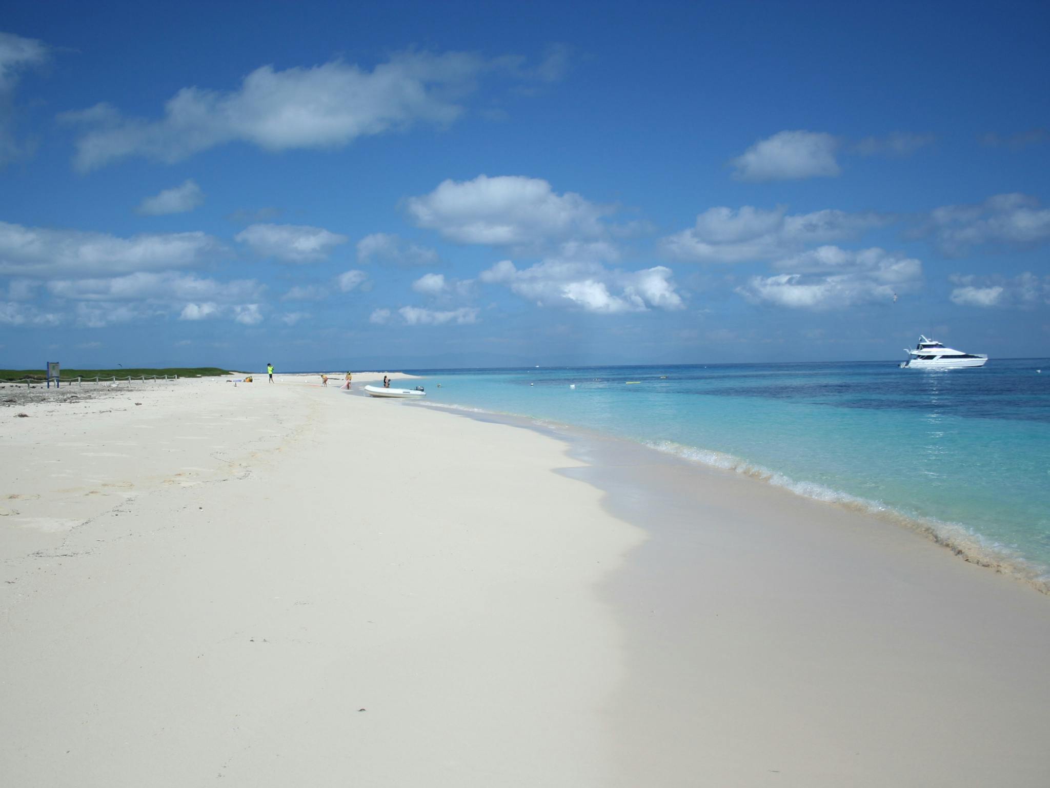 Beach and Seastar Beach and Seastar