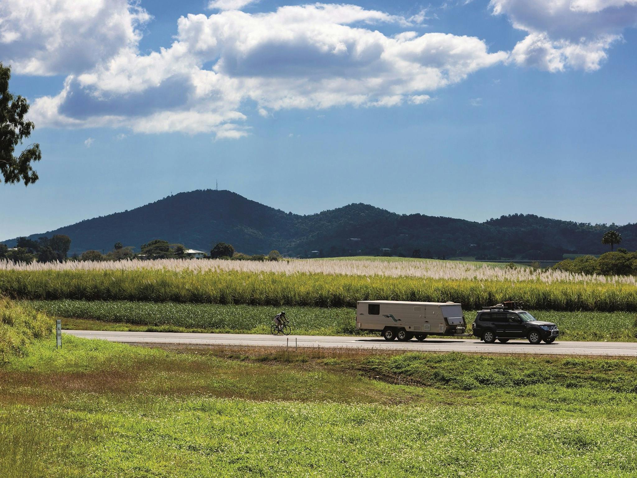 How to holiday on The Hibiscus Coast with your family