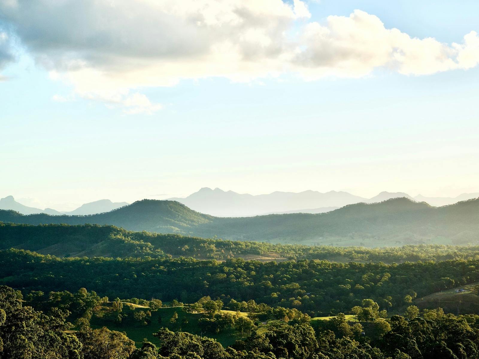Panoramic view of the lush McPherson Ranges