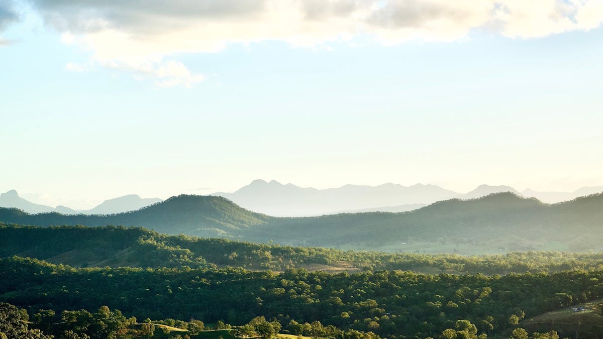 Panoramic view of the lush McPherson Ranges with rolling green hills
