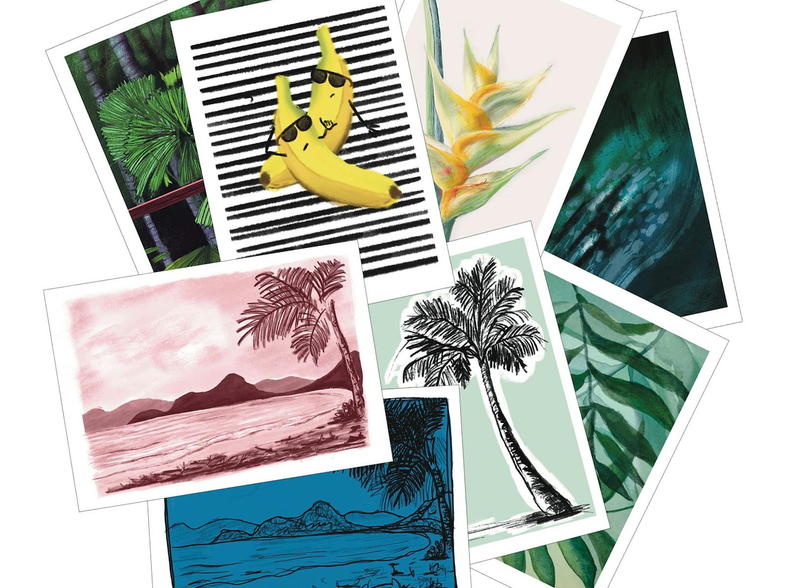 Greeting Cards Little Green Bicycle Art Studio & Shop Palm Cove
