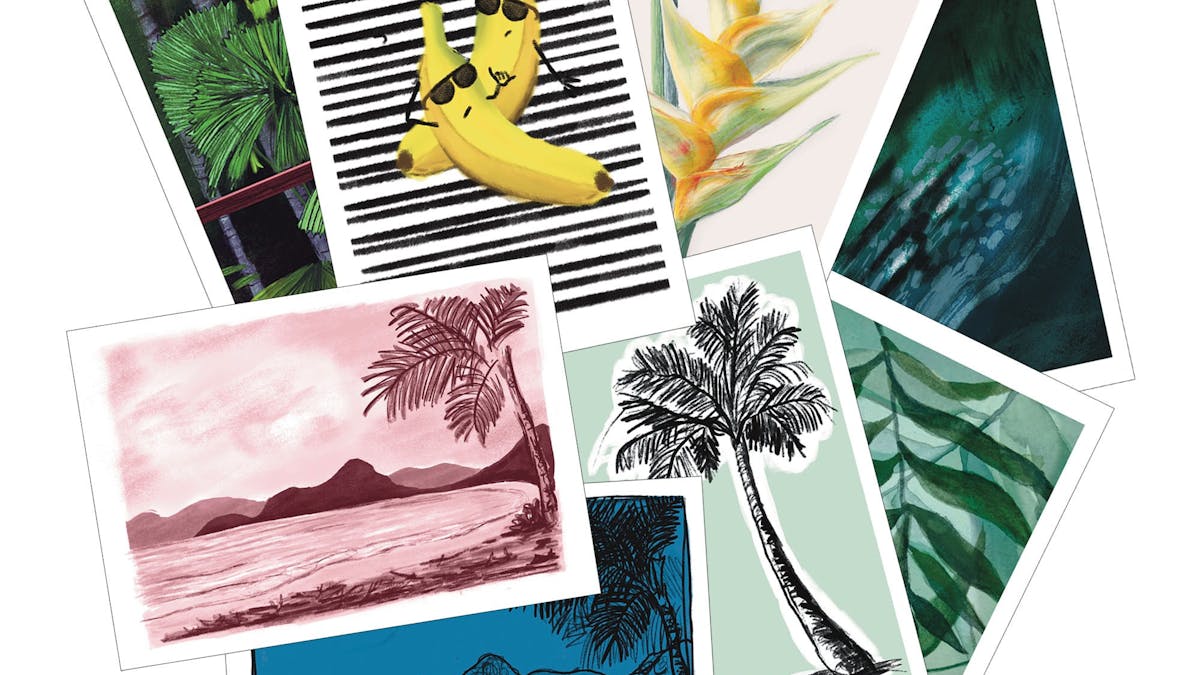 Greeting Cards Little Green Bicycle Art Studio & Shop Palm Cove