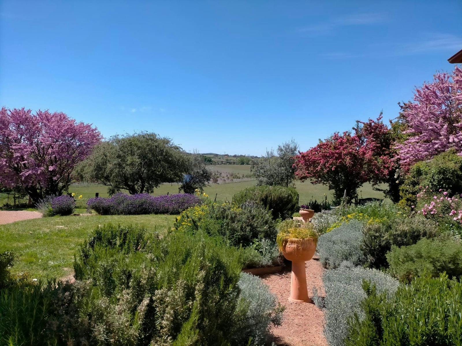 Image for Private: Cooma Cottage Spring High Tea