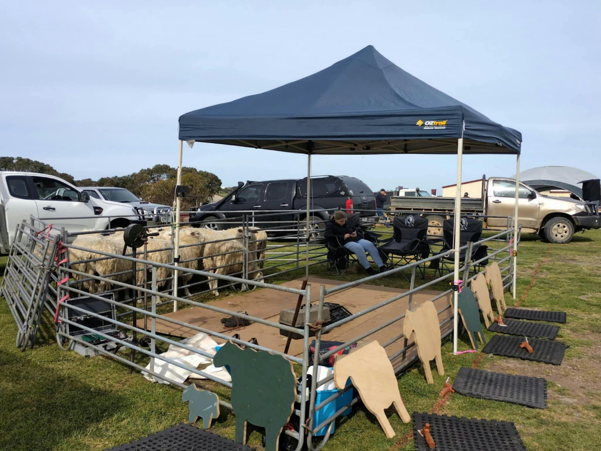 shearing display