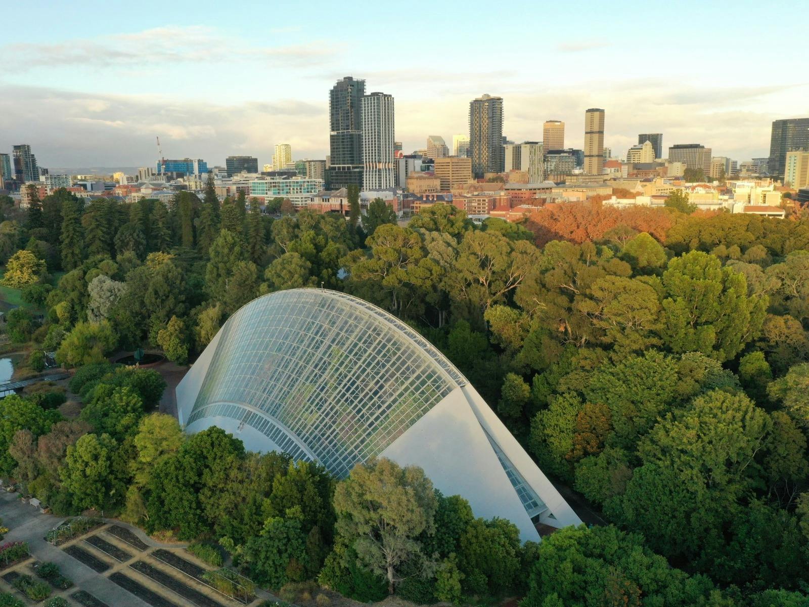 A drone photo of a curved glass conservatory with a city backdrop