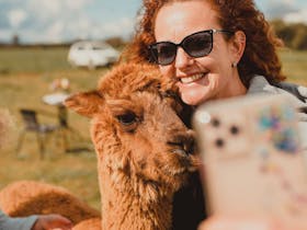 A woman taking a selfie with  a caramel coloured alpaca called Maggie Mae