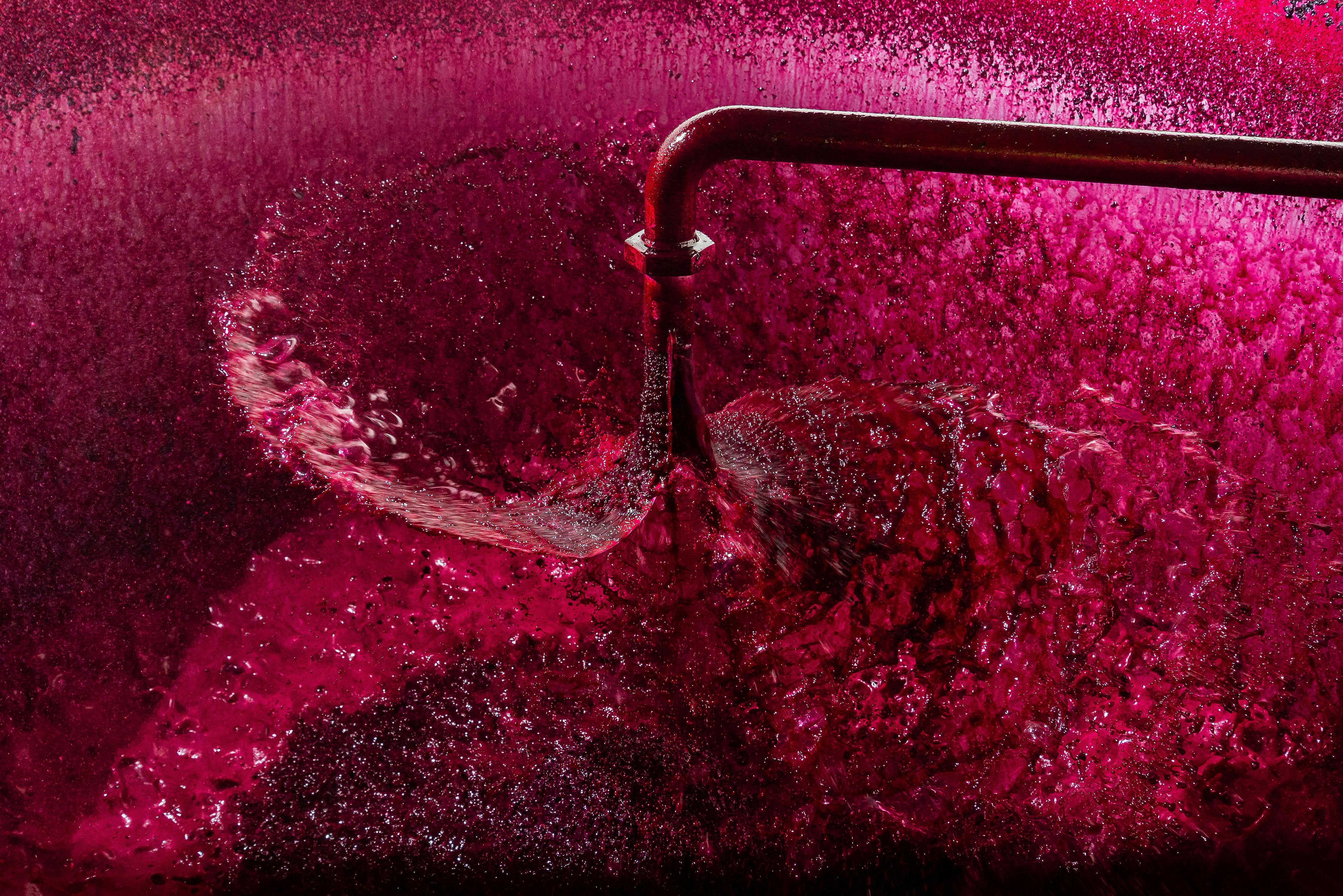 Kirrihill red wine making