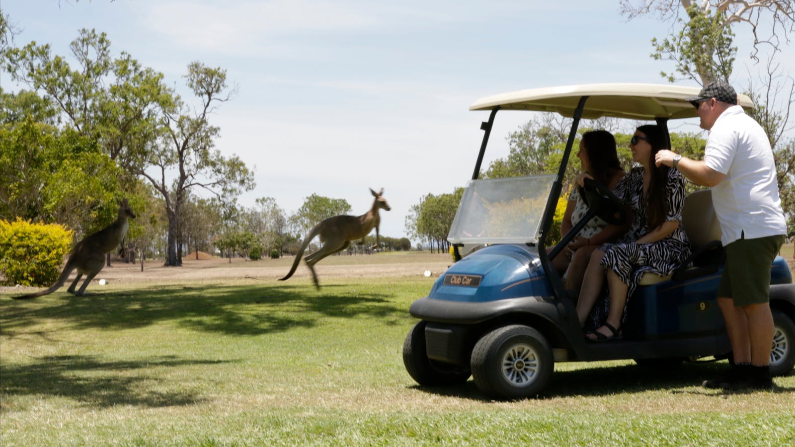 Blue Adventures - Wildlife and Rainforest Private Safaris