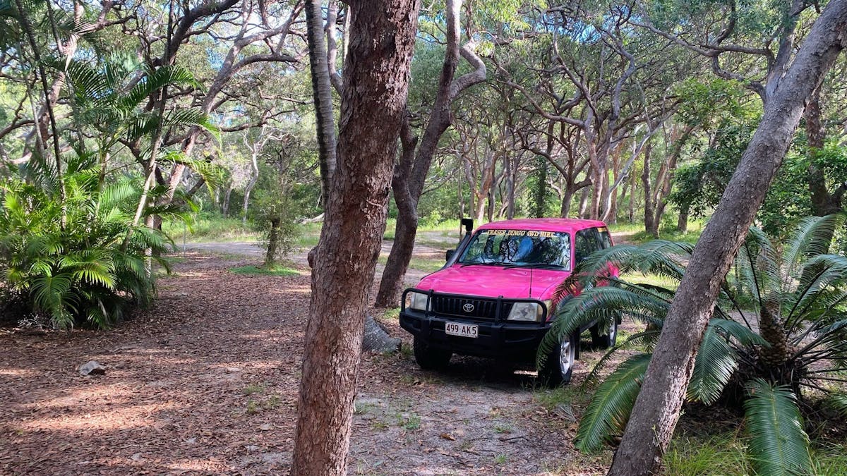 Pink 4WD