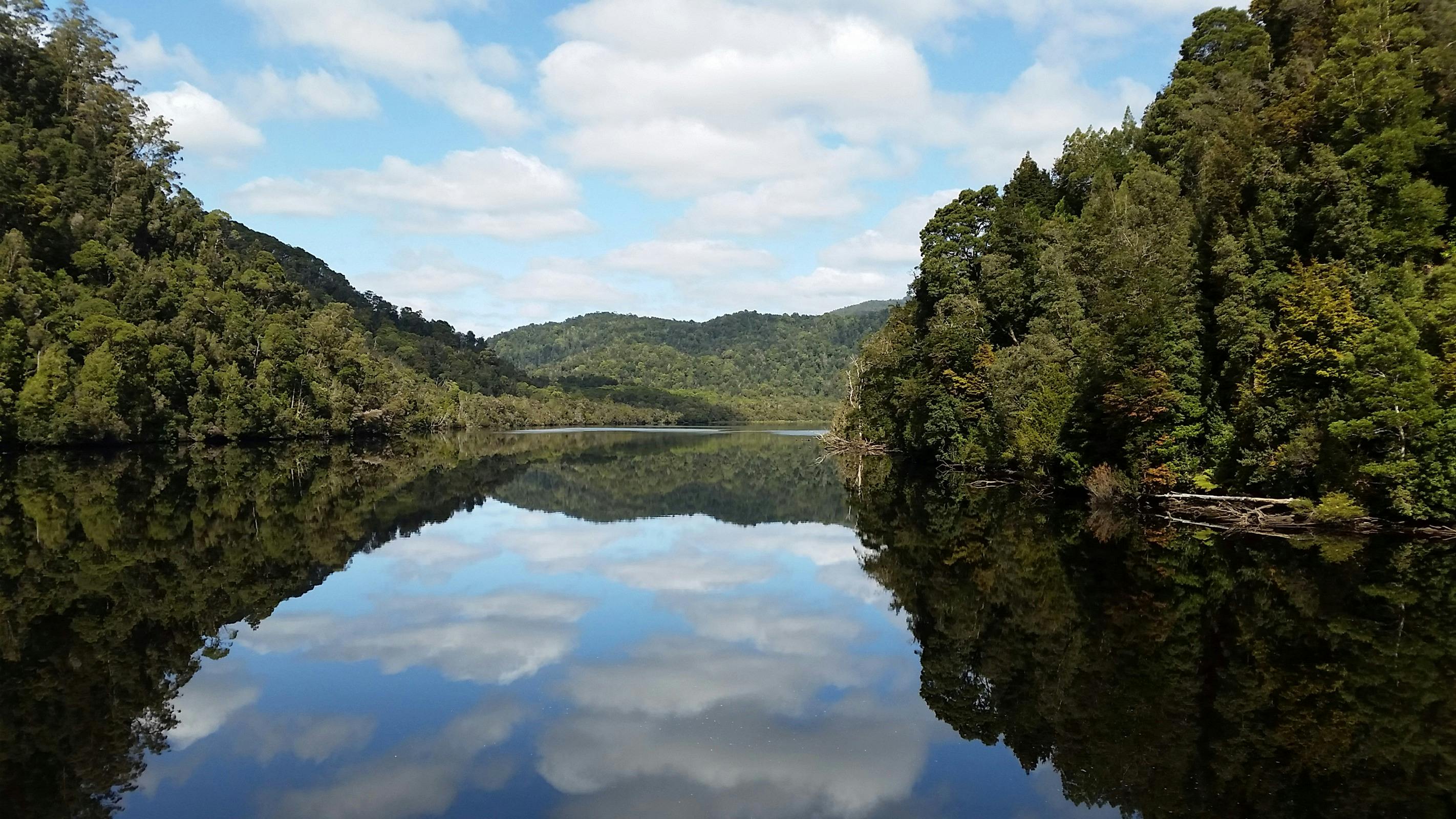 Enjoy a Gordon River Cruise on the Captains Deck departing from Strahan