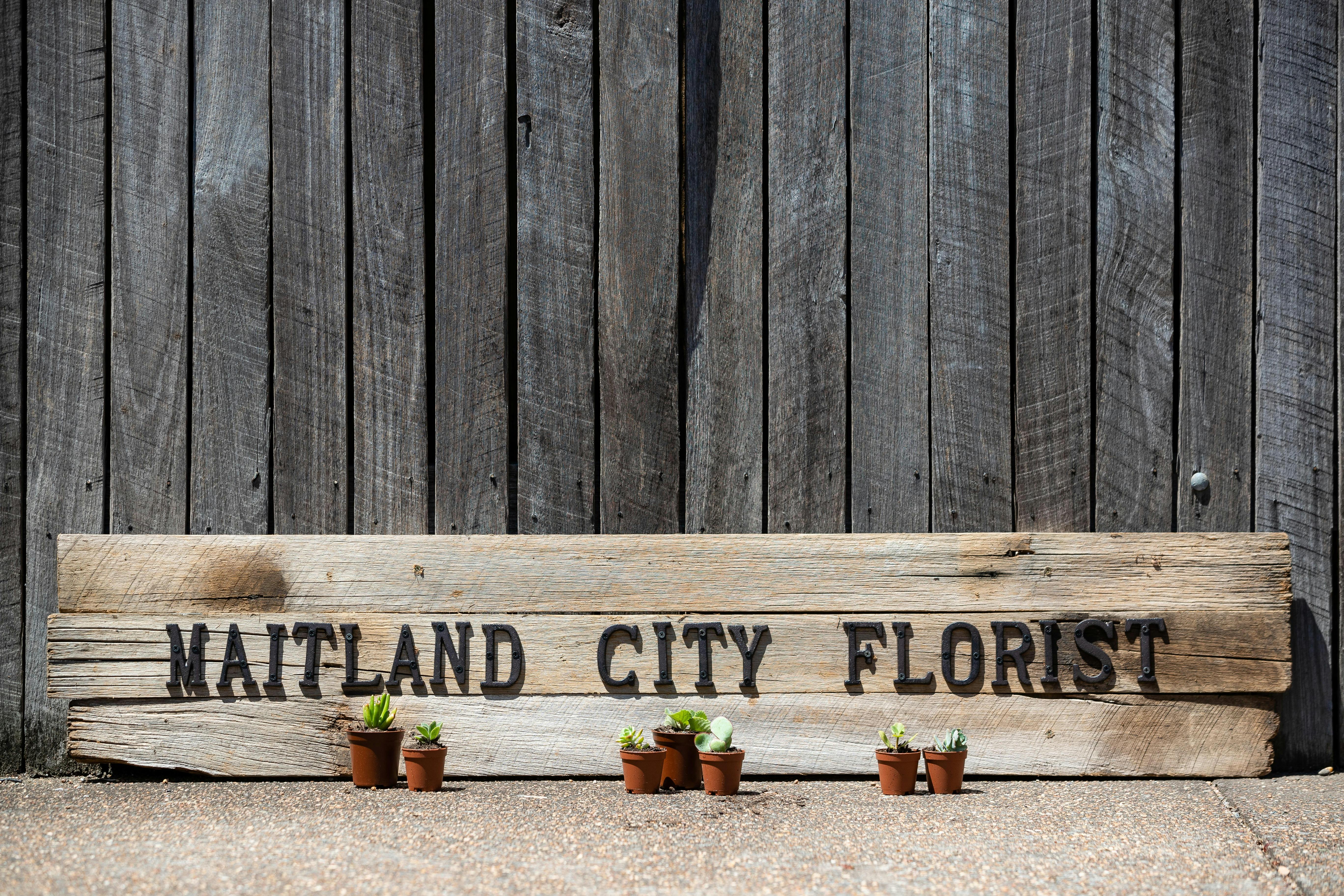 Maitland City Florist