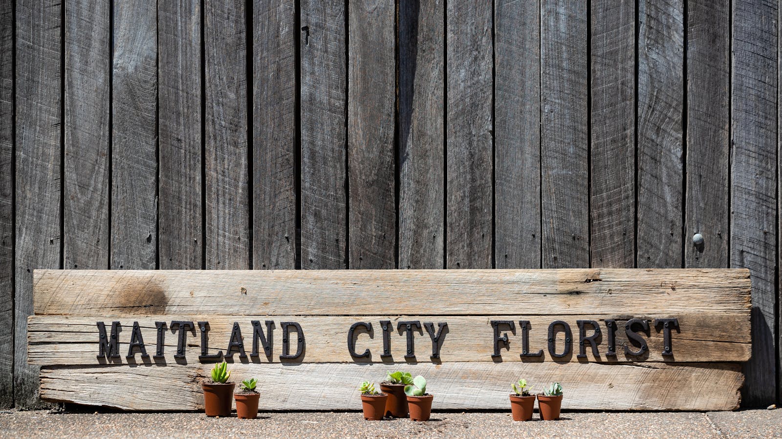 Maitland City Florist