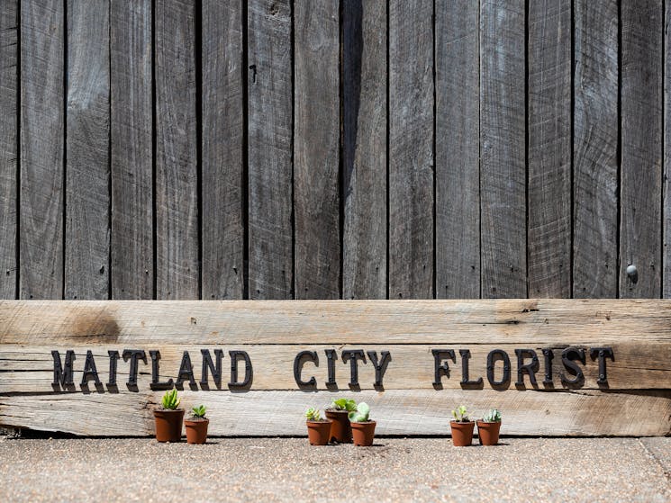 Maitland City Florist