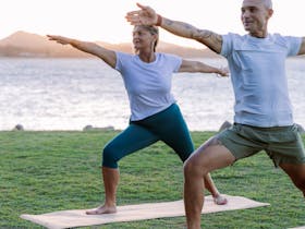 Wild Light Experiences