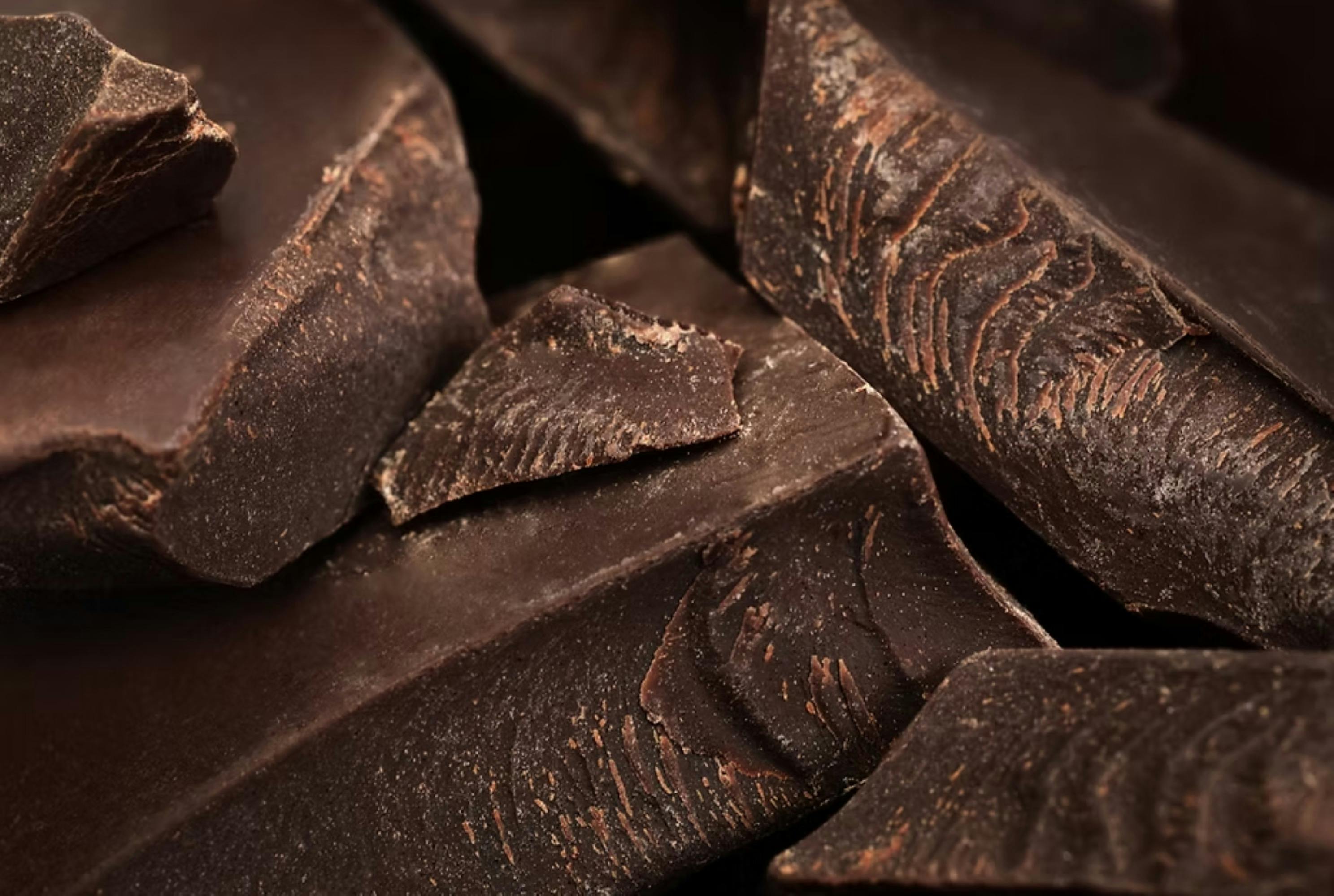 巧克力鉴赏家工作坊