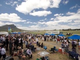Dunkeld Races feat. The William Thompson Cup Cover Image