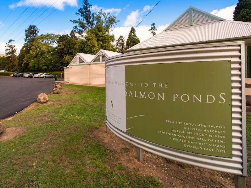Salmon Ponds and the Museum of Trout Fishing Discover Tasmania