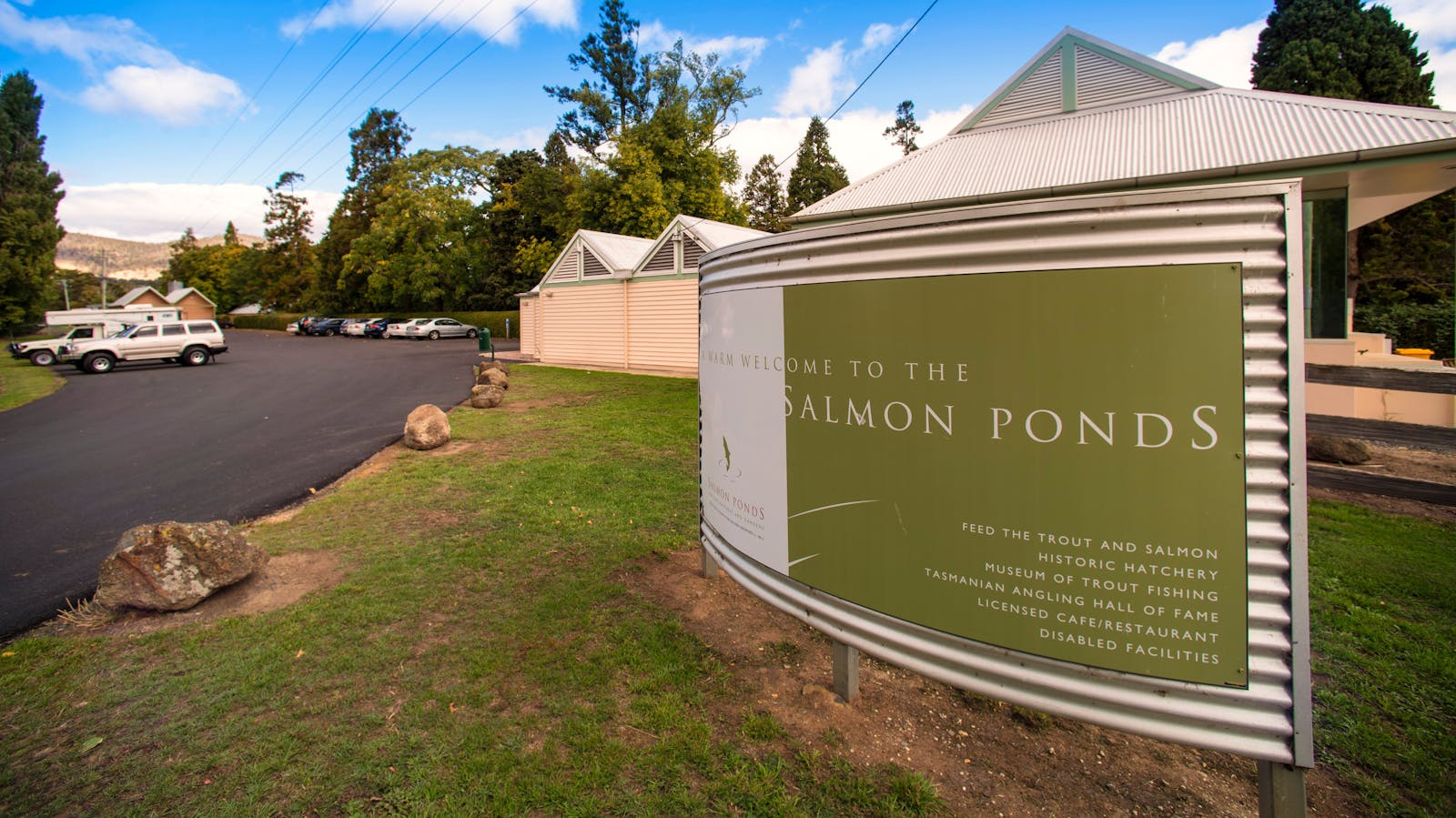 The Salmon Ponds