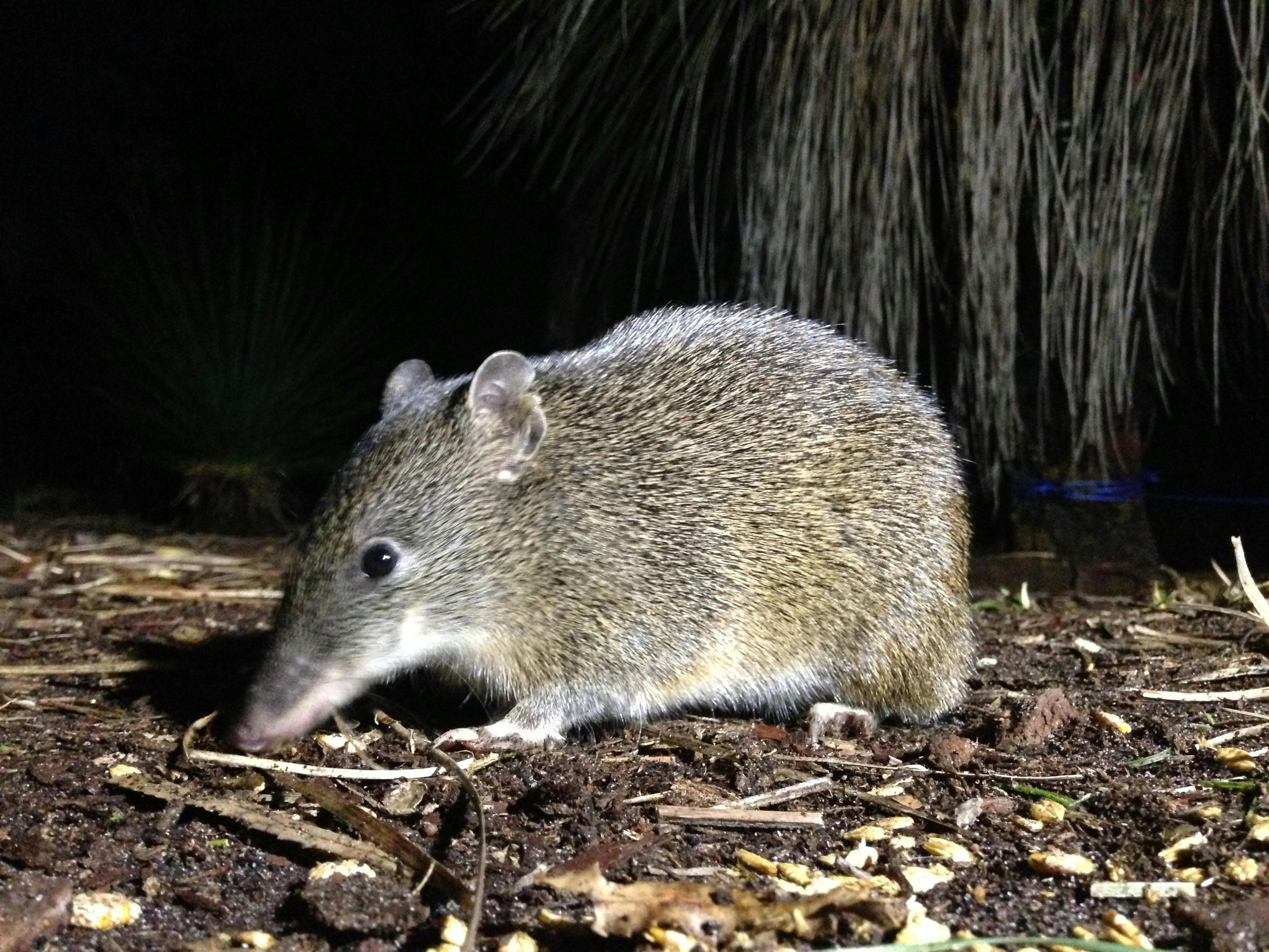 South West Eco Discoveries, Abbey, Western Australia