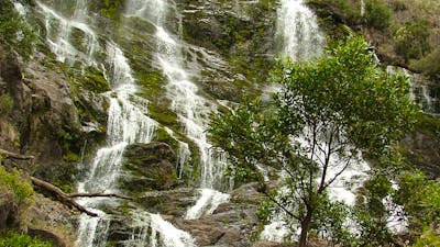 Buddong Falls Walking Track