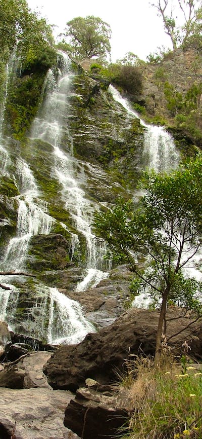 Buddong Falls Walking Track