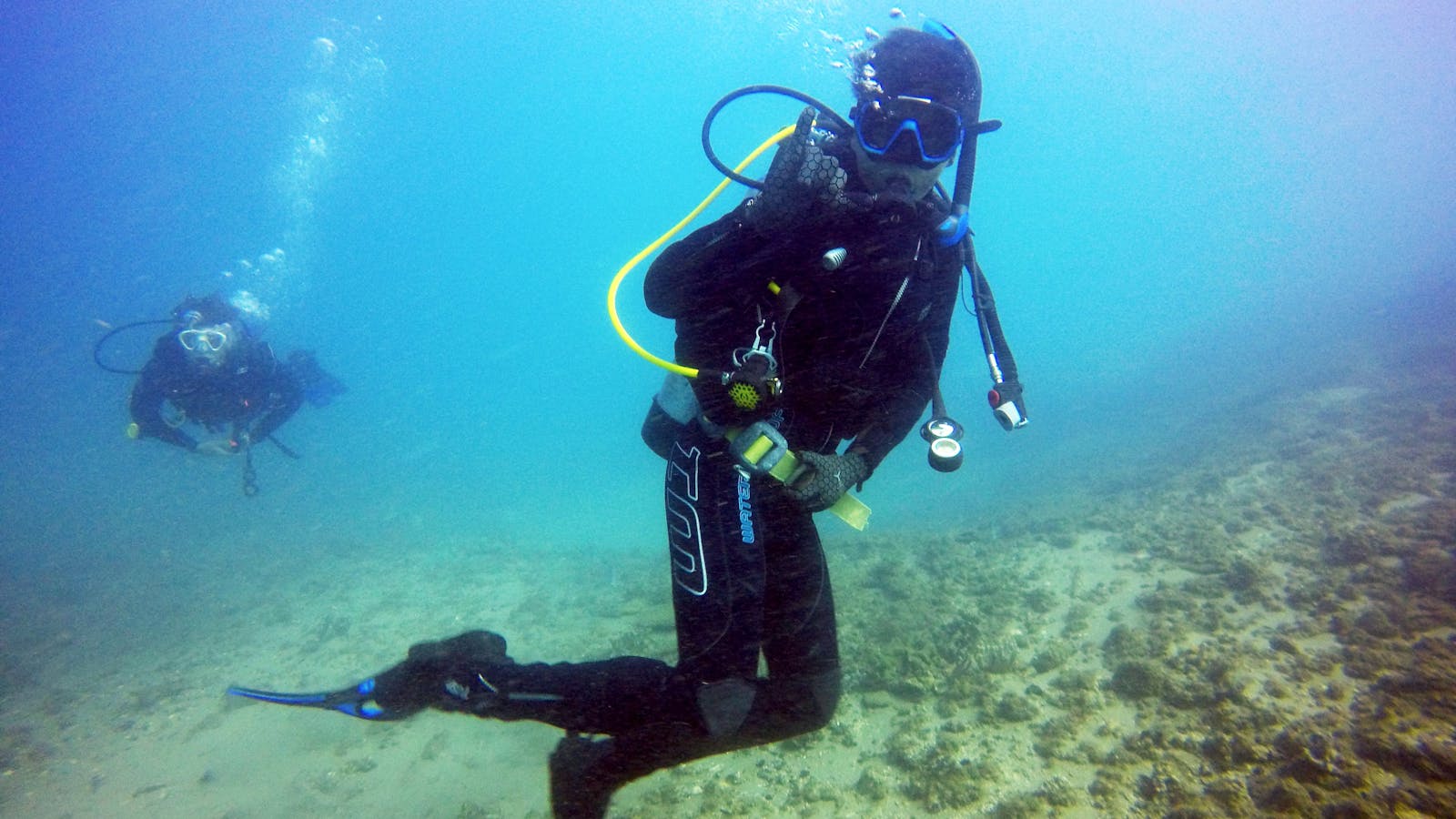 Gold Coast Diver