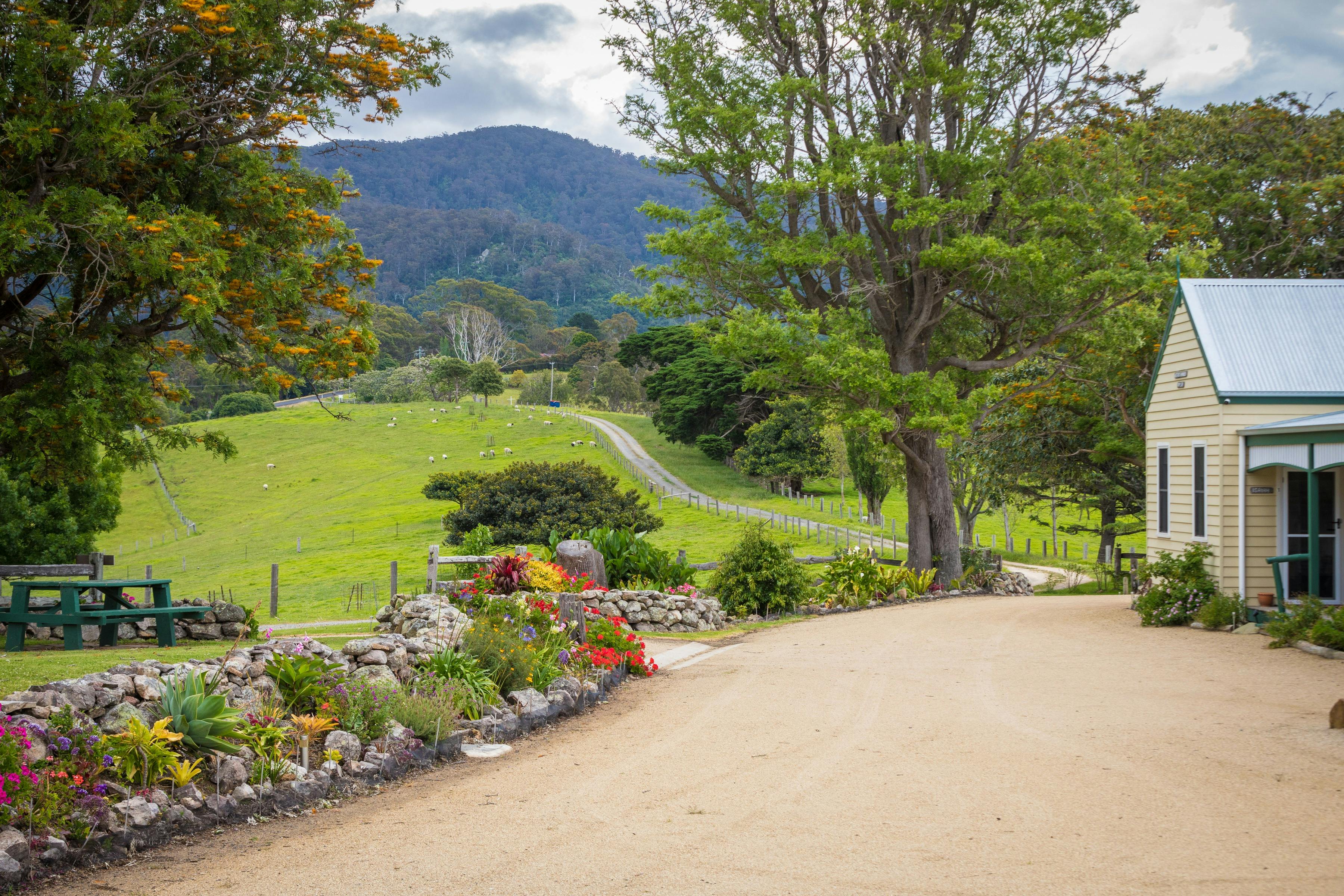 Base yourself here for a few days with all the South Coast Highlights within a short drive.