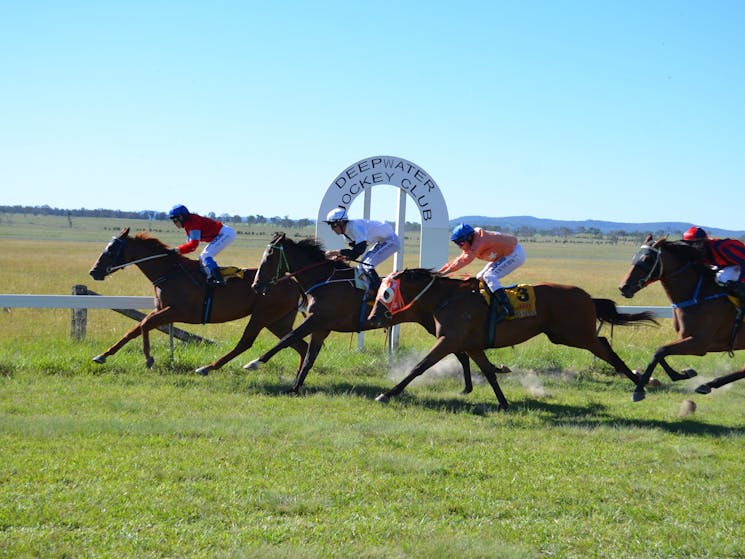 Annual January Deepwater Races