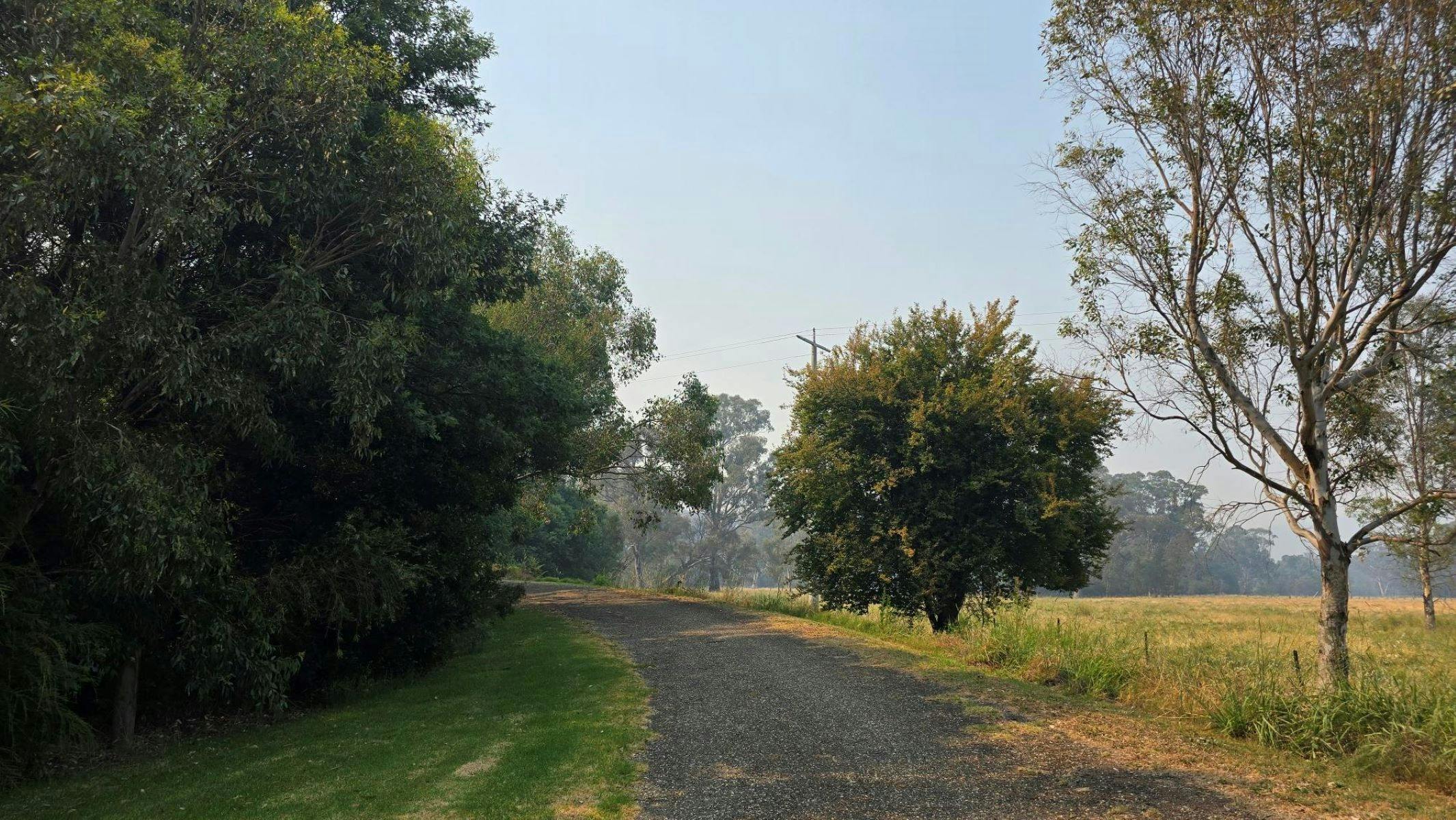 A rail trail going through green grass and luscious green trees with paddocks in the background