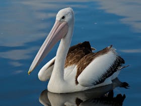 Yaringa Marine National Park